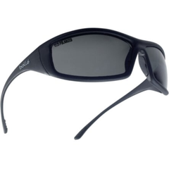 Solipol polarized smoked glasses